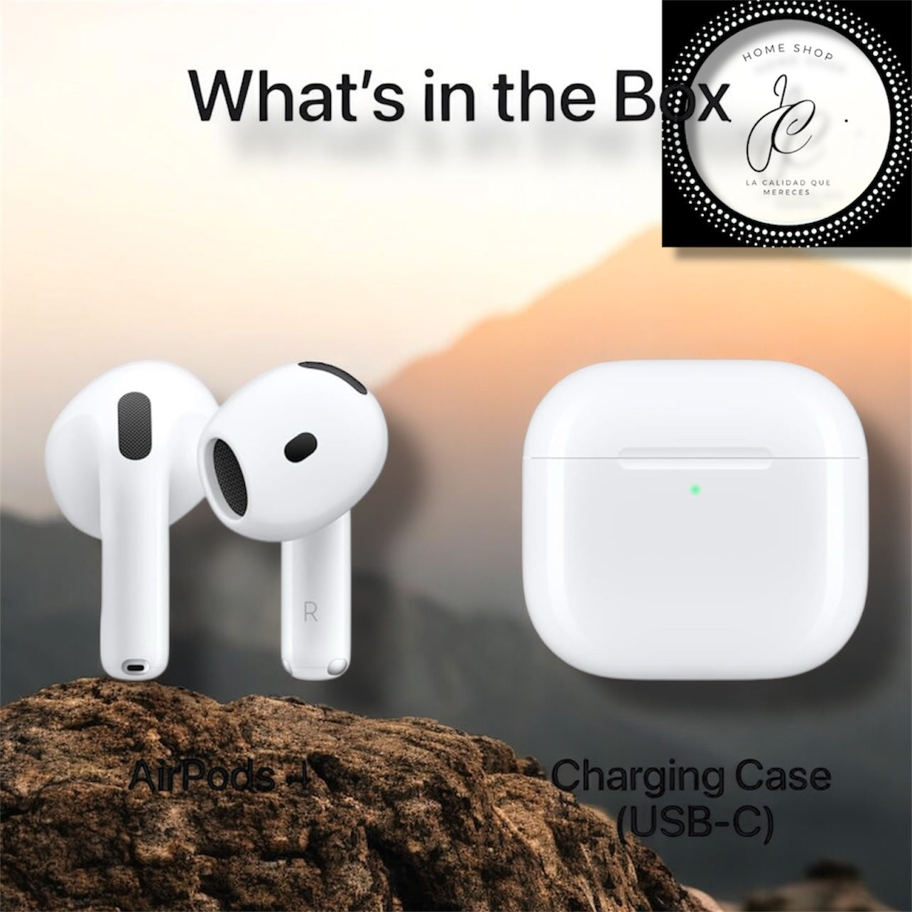 AIRPODS PRO 4