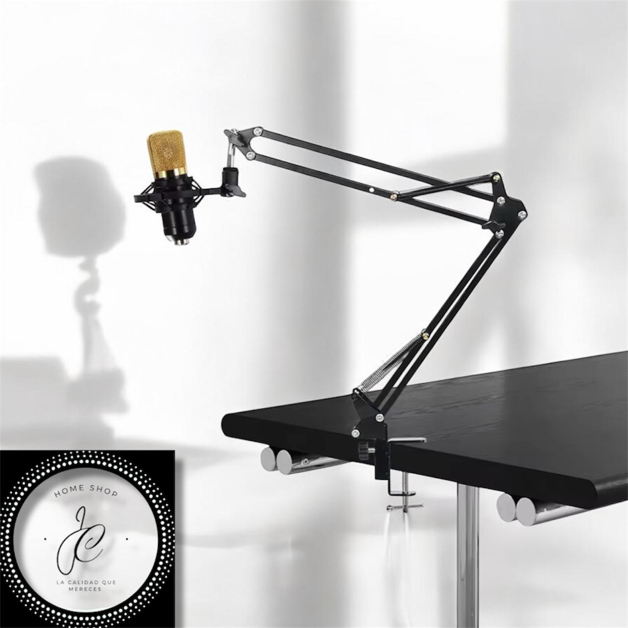 KIT DE MICRÓFONO CONDENSADOR PROFESIONAL 1285 MD-12711