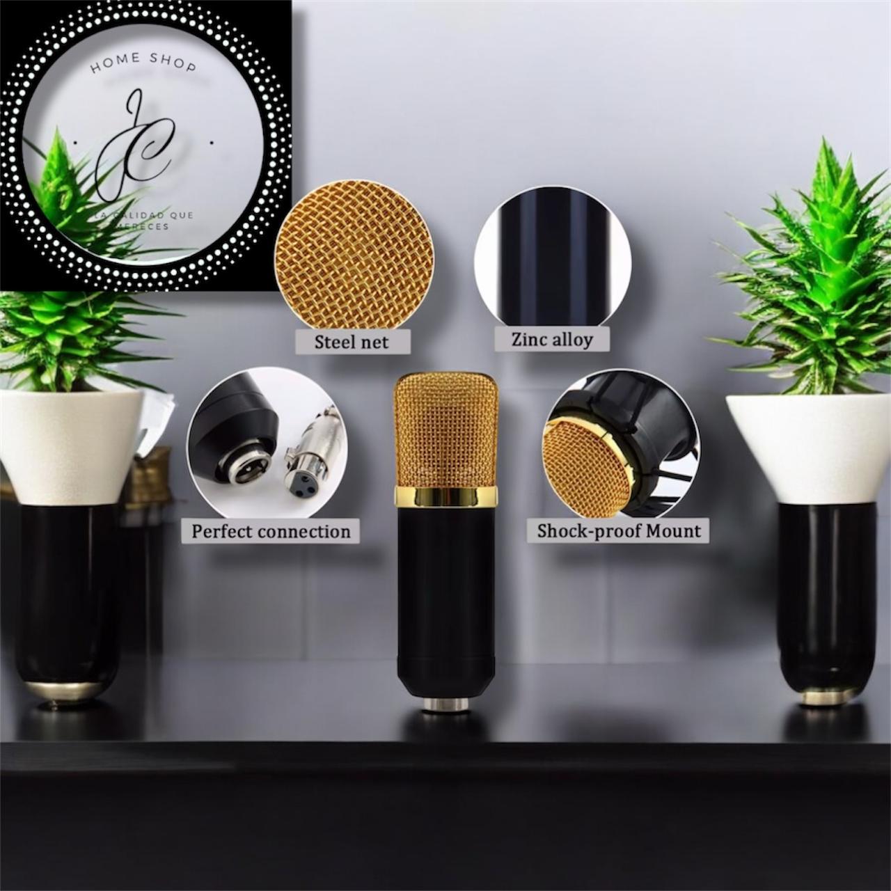 KIT DE MICRÓFONO CONDENSADOR PROFESIONAL 1285 MD-12711