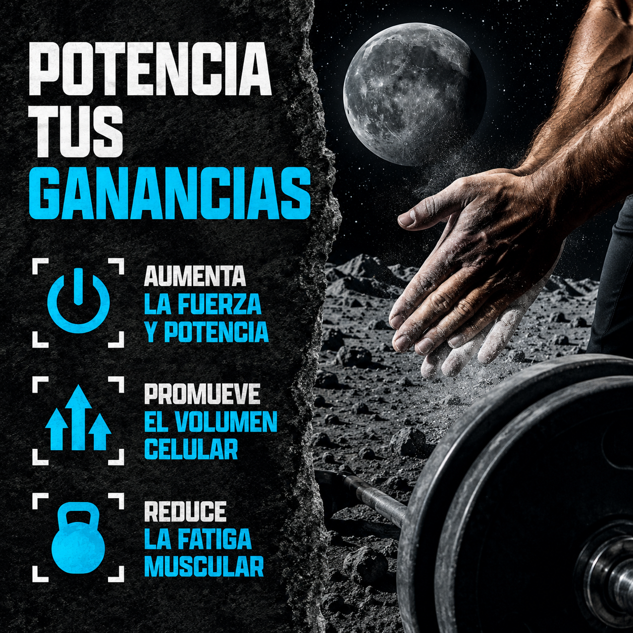 CREATINE MONOHYDRATE
