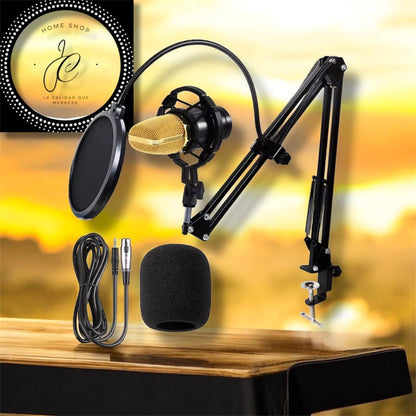 KIT DE MICRÓFONO CONDENSADOR PROFESIONAL 1285 MD-12711